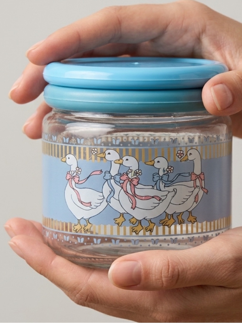Vintage glass jar goose design